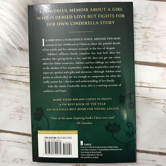 Chinese‎ Cinderella Novel Book Chapter Book Young Adult - Picture 4 of 7